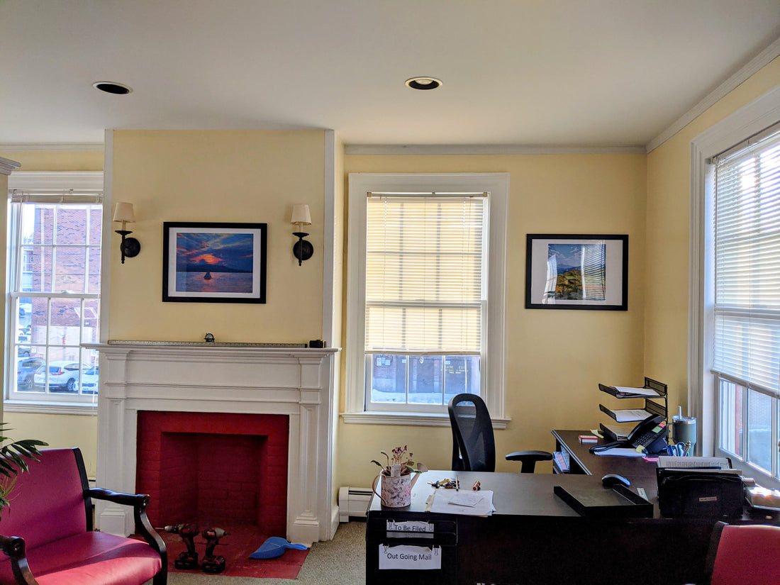 Bringing New Life to Office Space