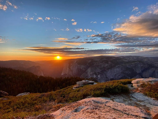 The Process for a Commissioned Painting