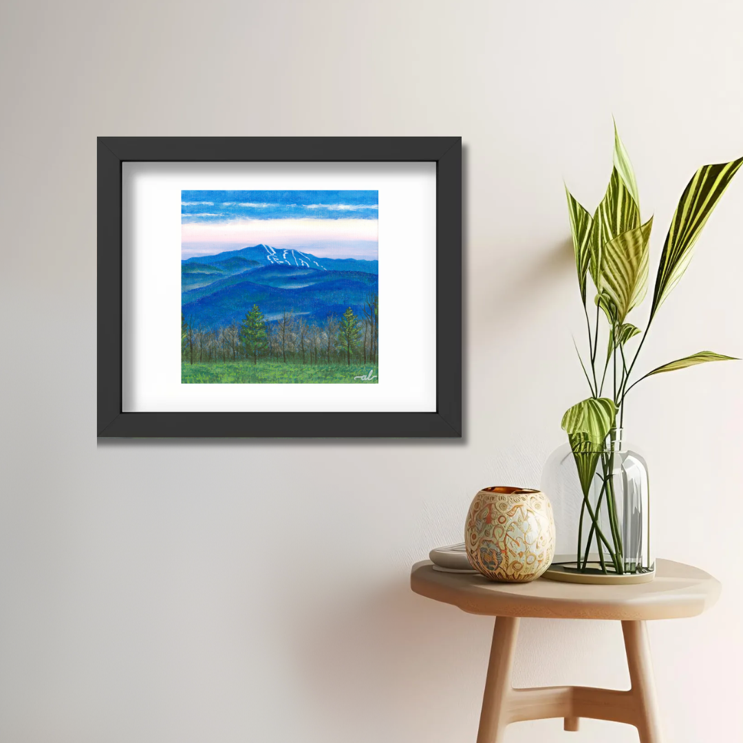 View from East Montpelier, VT - Fine Art Print 11x14in