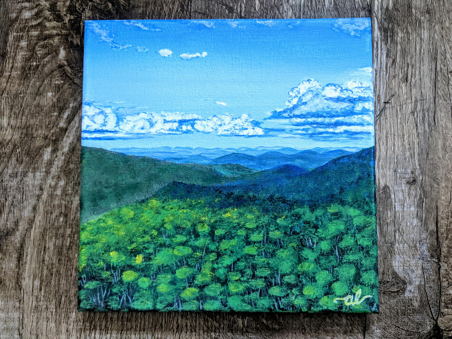 Green view from Camels Hump, VT - Original Painting 8x8in