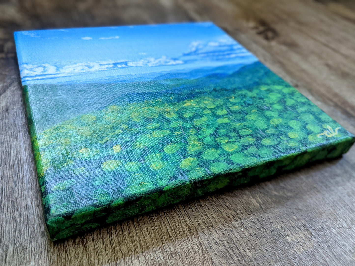 Green view from Camels Hump, VT - Original Painting 8x8in