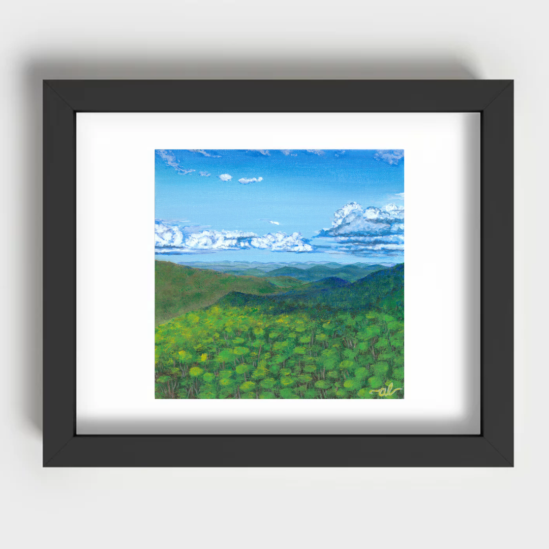 Green view from Camels Hump, VT - Fine Art Print 11x14in