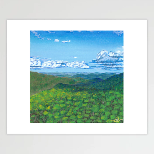 Green view from Camels Hump, VT - Fine Art Print 11x14in