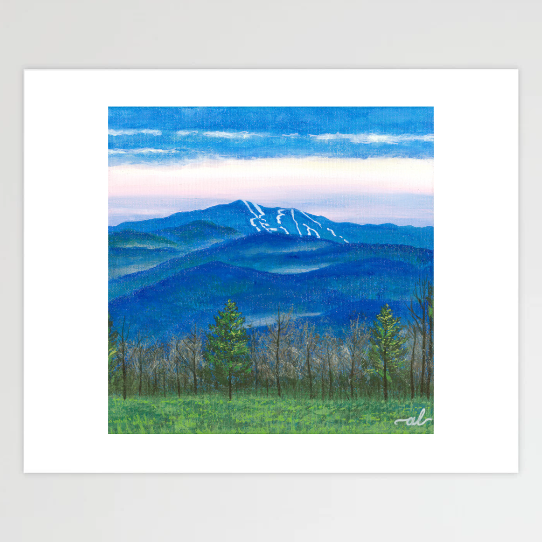 View from East Montpelier, VT - Fine Art Print 11x14in
