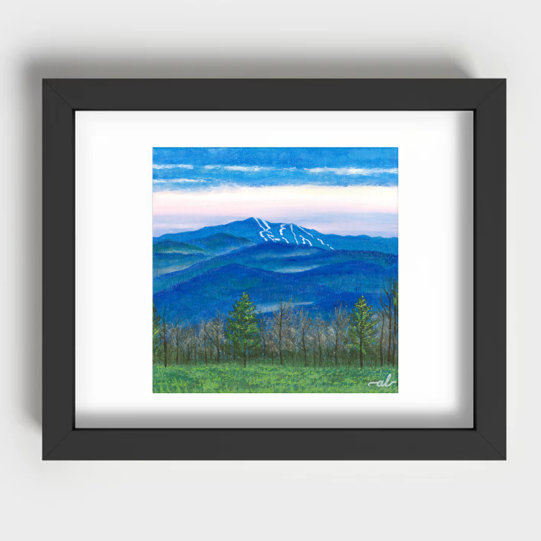View from East Montpelier, VT - Fine Art Print 11x14in