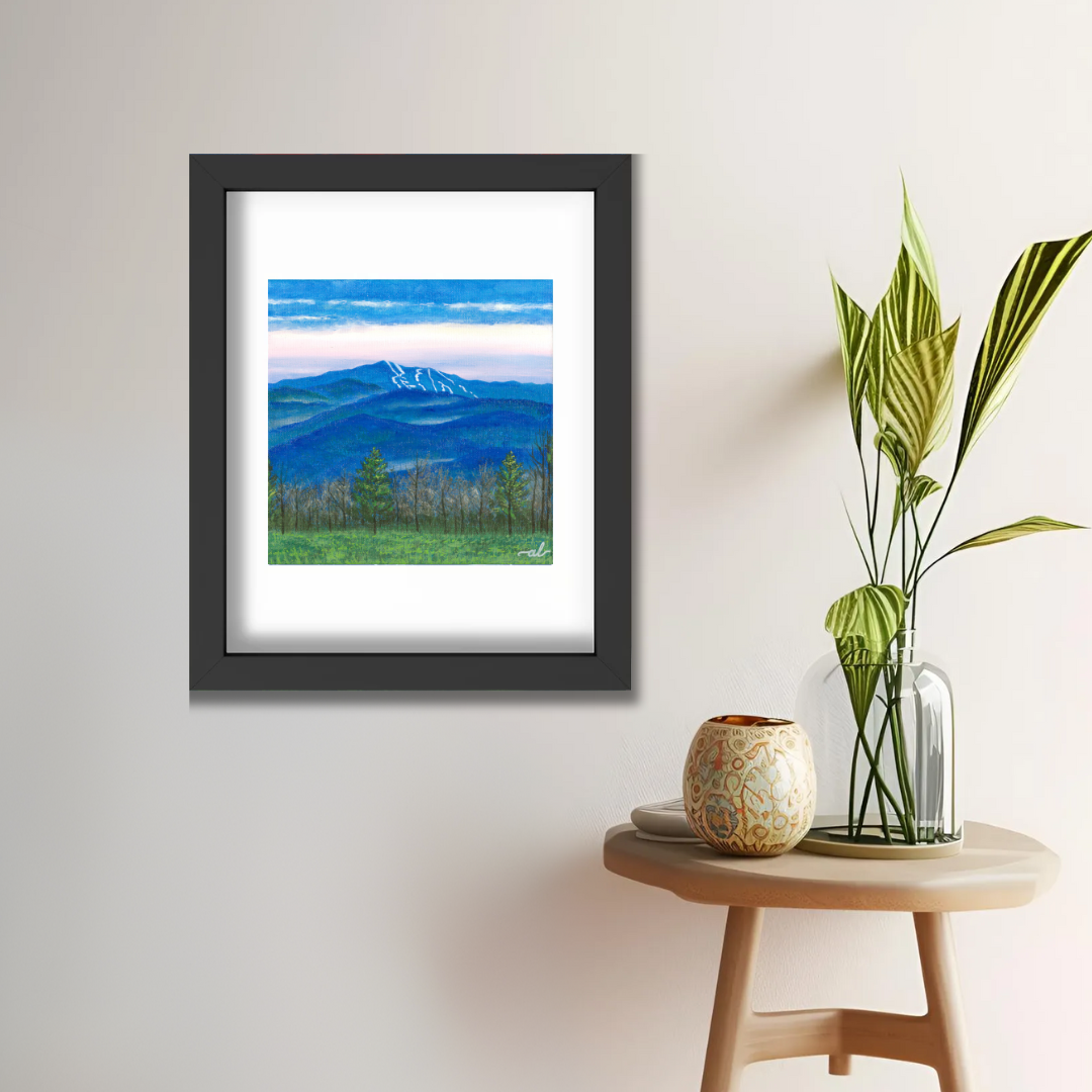 View from East Montpelier, VT - Fine Art Print 11x14in