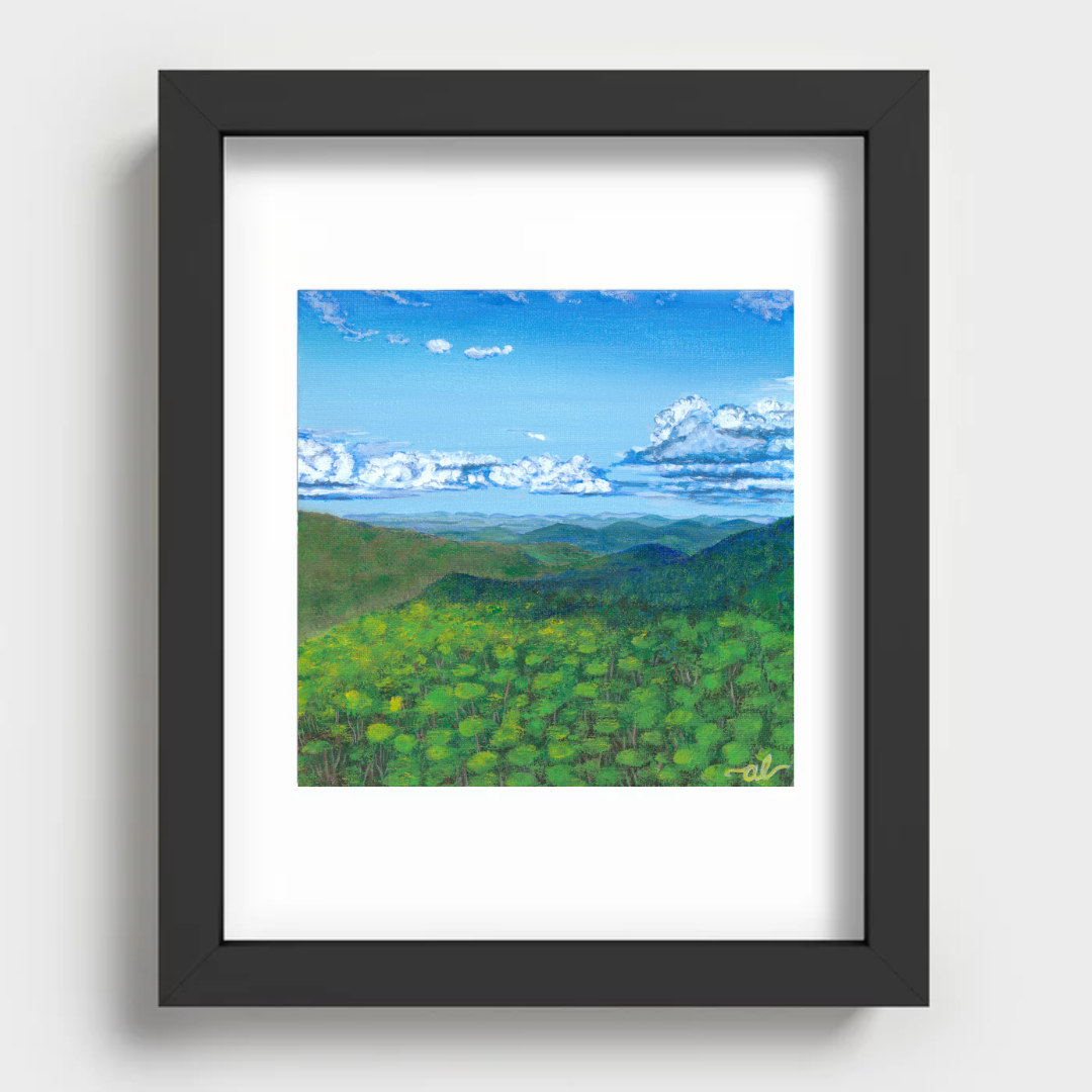 Green view from Camels Hump, VT - Fine Art Print 11x14in