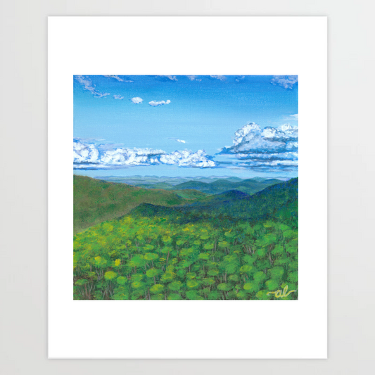 Green view from Camels Hump, VT - Fine Art Print 11x14in