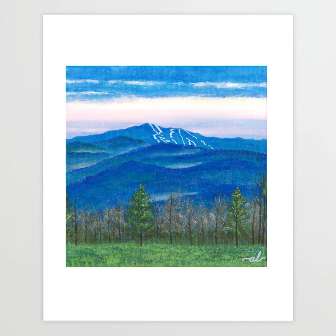 View from East Montpelier, VT - Fine Art Print 11x14in